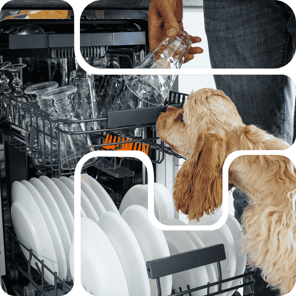 Dishwasher Installations